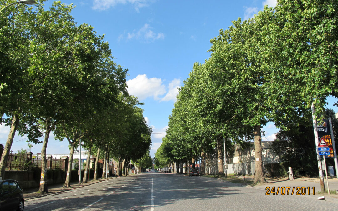 Avenue du Port: Commission de concertation autour de l’Avenue du Port, BruxellesFabriques y était!